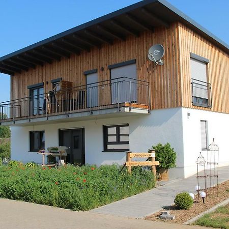 Ferienwohnungen "Blumenwiese" Диллинген-ан-дер-Донау Экстерьер фото