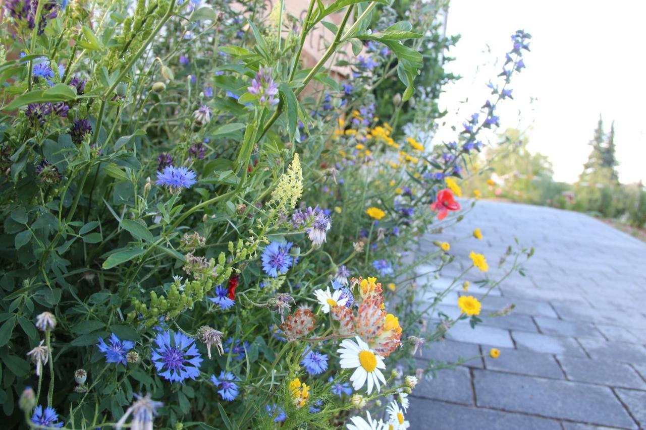 Ferienwohnungen "Blumenwiese" Диллинген-ан-дер-Донау Экстерьер фото
