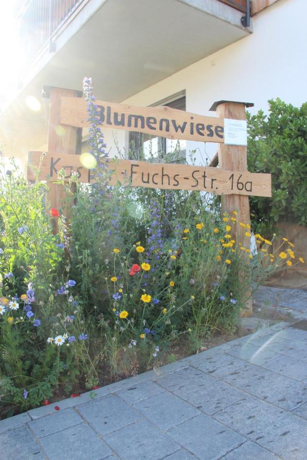Ferienwohnungen "Blumenwiese" Диллинген-ан-дер-Донау Экстерьер фото